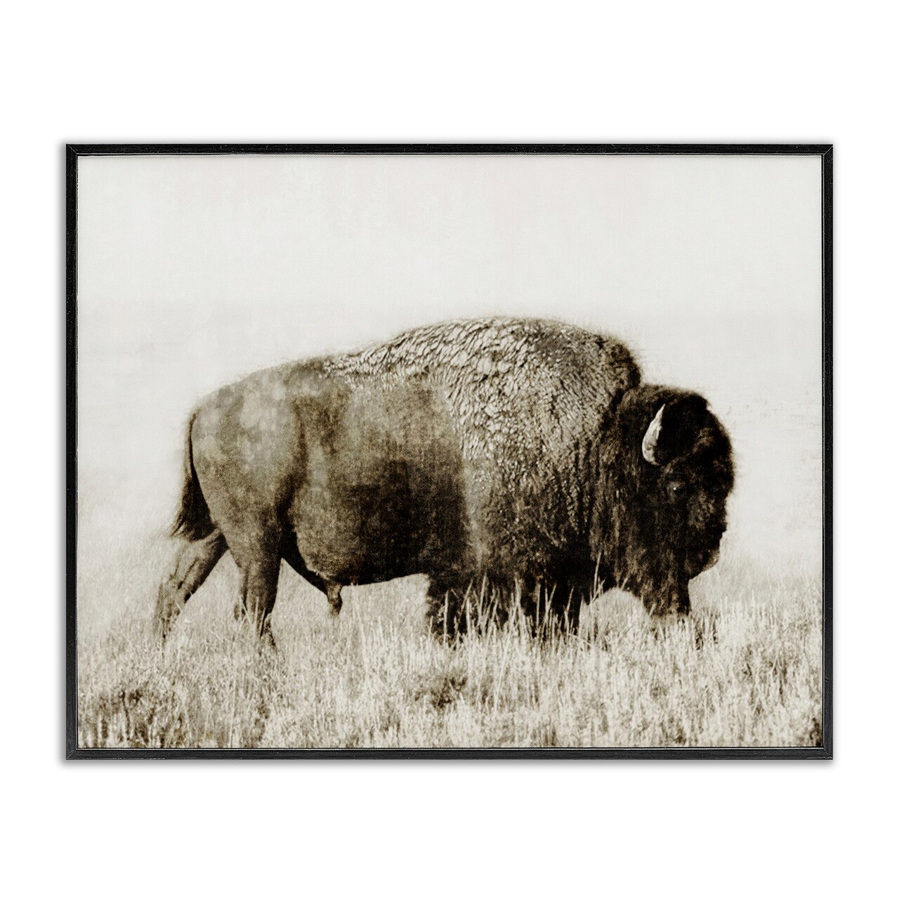 Stupell Industries Bison Grazing in Field Framed Giclee Wall Art Design by Dan Meneely
